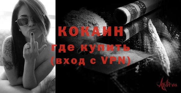 винт Пересвет