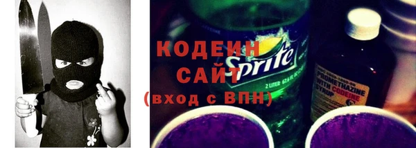 индика Дегтярск