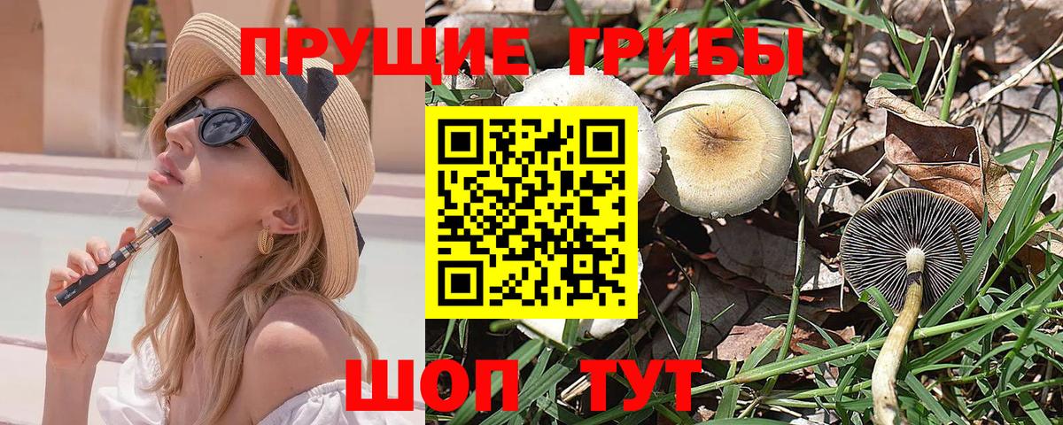 COCAIN  ЭКСТАЗИ  Гашиш  Меф кристаллы  Гурьевск  Канабис  КОКАИН  MDMA 