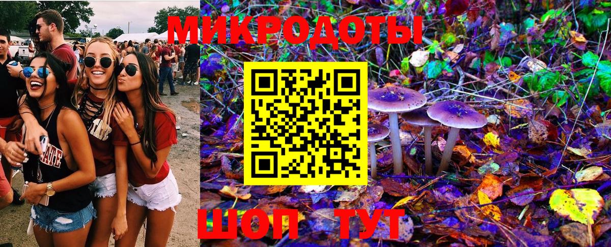 Псилоцибиновые грибы Cubensis Гурьевск